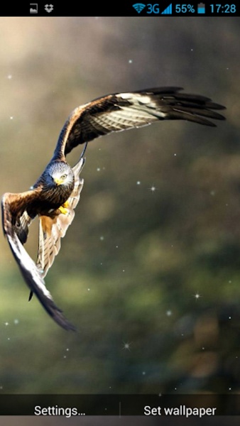 3D Bird Live Wallpaper - Preview 5