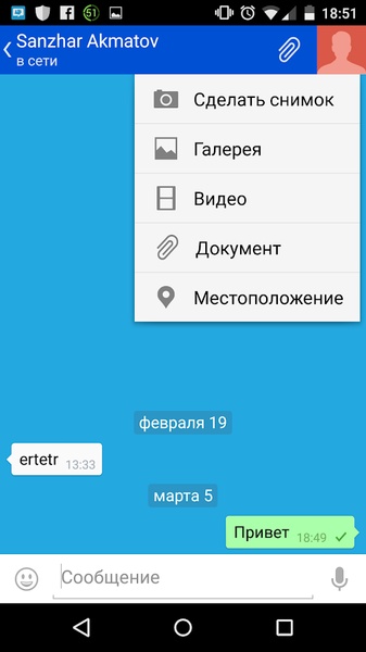 Mango Chat - Preview 2