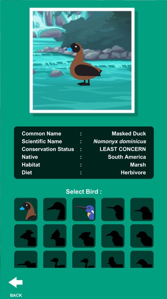 Birdstopia - Preview 6