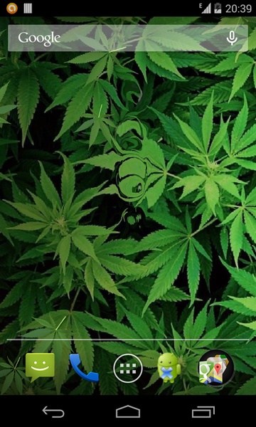 Marijuana - Preview 1