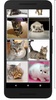 Cat puzzles Jigsaw, Slide 2048 screenshot 4