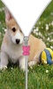 かわいい子犬ジップ画面ロックー screenshot 1