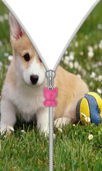 Cute Puppy Zip Screen Lock - Preview 1