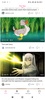 bilibili - All Your Fav Videos screenshot 7