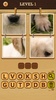 4 Pics Puzzle: Guess 1 Word screenshot 2