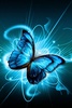 Butterfly Wallpaper screenshot 14