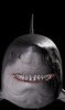 Great White Shark Prank Call screenshot 2