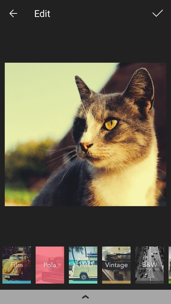 POMELO Camera - Preview 1