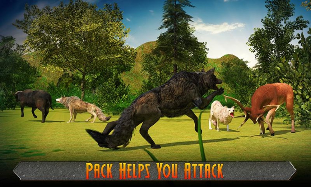 Wolf Pack Attack 2016 - Preview 11