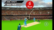 I P Lead Cricket screenshot 3
