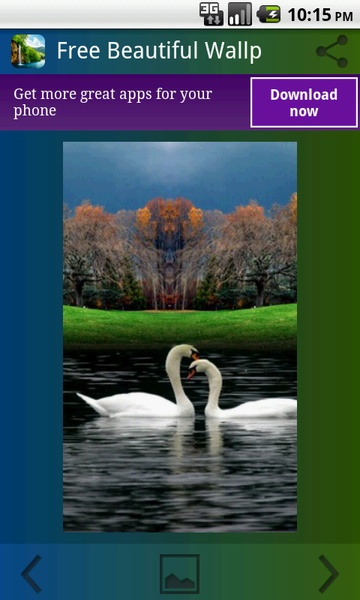 Beautiful Wallpapers HD Free - Preview 5