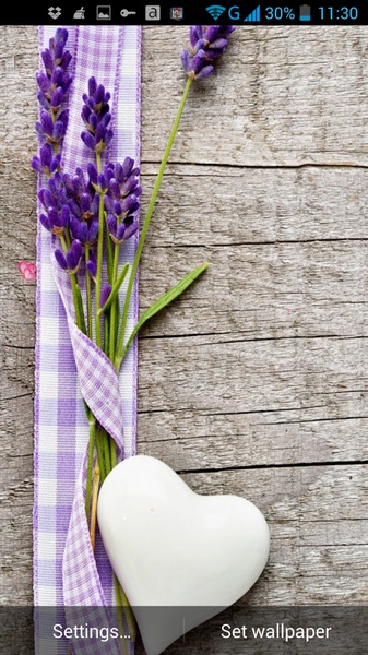 Love Flowers Live Wallpaper - Preview 3