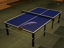 Table Tennis Pro screenshot 2