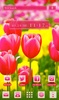 Colorful Tulip screenshot 4