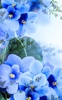 Flowers HD Live Wallpaper screenshot 4