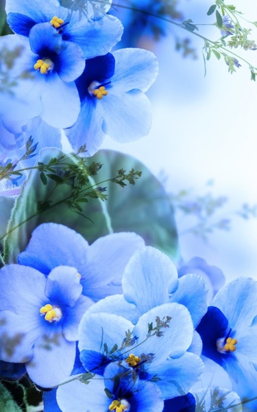 Flowers HD Live Wallpaper - Preview 4