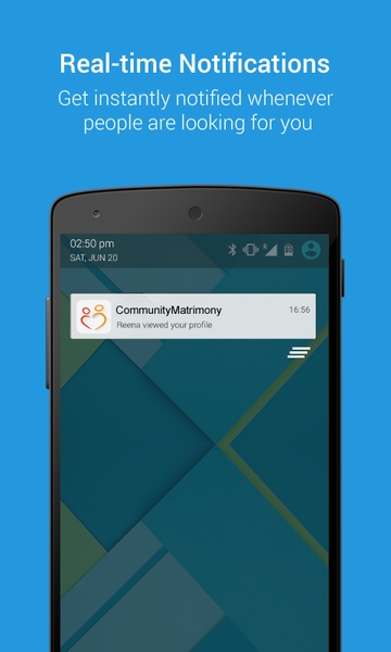 CommunityMatrimony - Preview 2