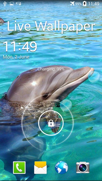 Dolphin - Preview 2