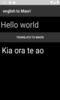 English to Maori Translator screenshot 4