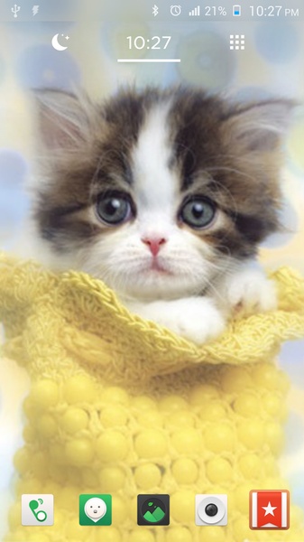 Cat Wallpapers Cute - Preview 3