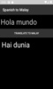 Spanish to Malay Translator screenshot 4
