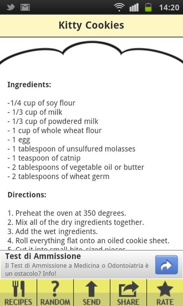 Cat Food Recipes - Preview 1