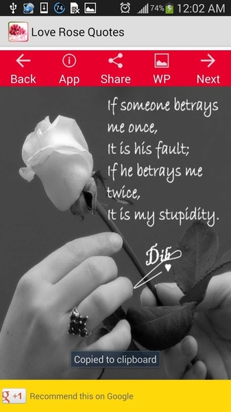 Love Rose Quotes - Preview 3