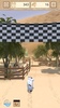 Camel Run - King of the desert screenshot 10