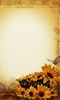 Sunflower Wallpaper screenshot 10