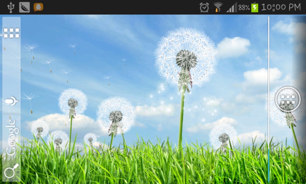 Dandelion LiveWallpaper - Preview 1