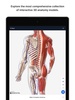 BioDigital Human - 3D Anatomy screenshot 6
