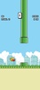 Flappy Bird screenshot 6