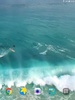 Dolphins Video Live Wallpaper screenshot 2