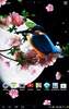Sakura and Bird Live Wallpaper screenshot 1