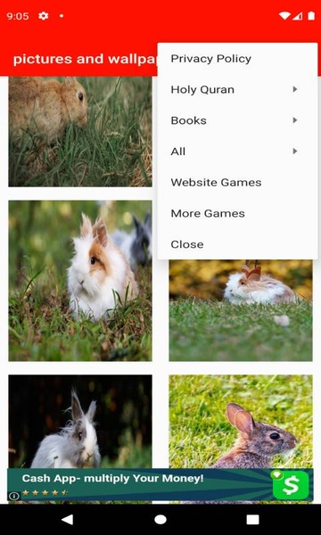pictures and wallpapers of the rabbit 4k - Preview 7