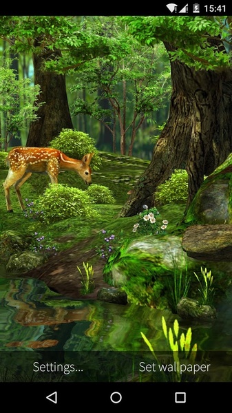 Dawn Forest 3D - Preview 2