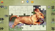 Dog Puzzles screenshot 4