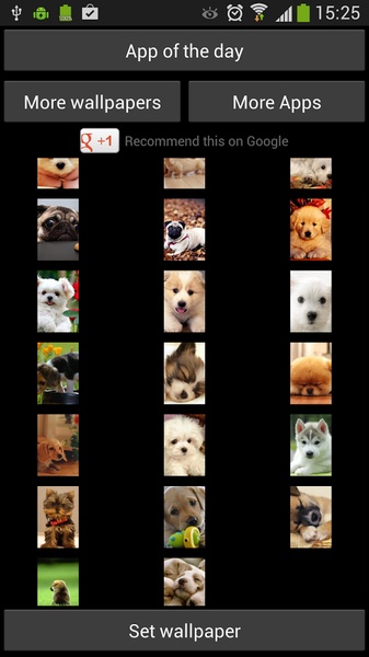 Puppies Wallpapers for Chat - Preview 5