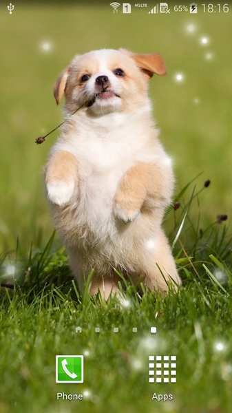 Puppies - Preview 8
