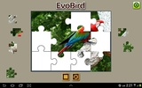 EVO BIRD screenshot 3