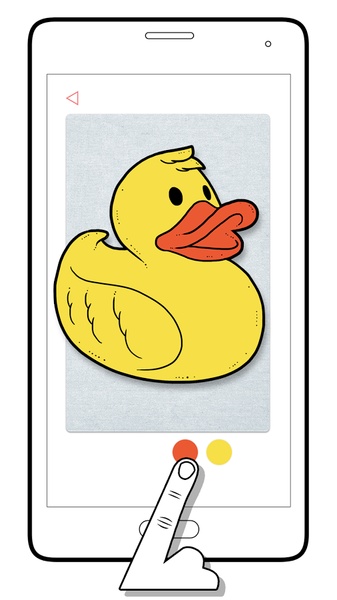 Colorin - Preview 14