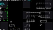 Angband screenshot 3