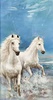 Horse Wallpapers screenshot 3