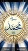 Islamic Live Wallpaper screenshot 6