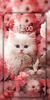 Cute Cat Wallpaper Live HD 4K screenshot 2