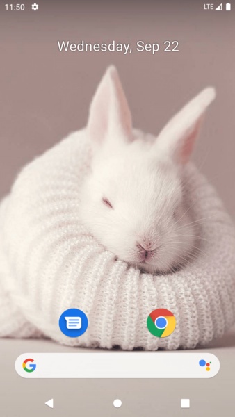 Rabbit Wallpaper - Preview 6