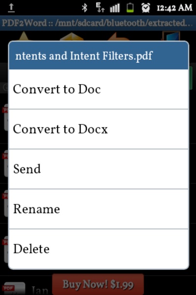 PDF to Word Converter - Preview 2