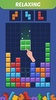 Block Buster - Puzzle Game screenshot 9