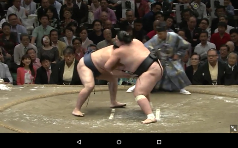 Grand Sumo - Preview 7