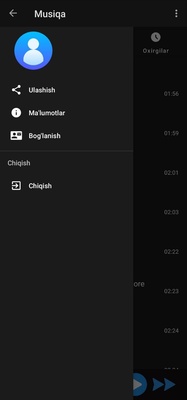 Musiqa screenshot 2